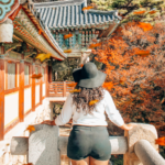 The Perfect Gyeongju Itinerary in Autumn