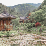 Garden of the Morning Calm and Nami Island Tour