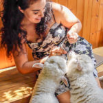 Thanks Nature Sheep Cafe in Seoul