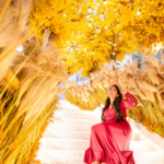 34 Amazing Places to See Autumn Foliage in Seoul (2024)