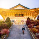 The Ultimate Guide To Autumn in Korea