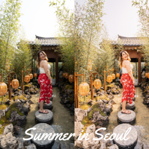 Summer in Seoul Preset