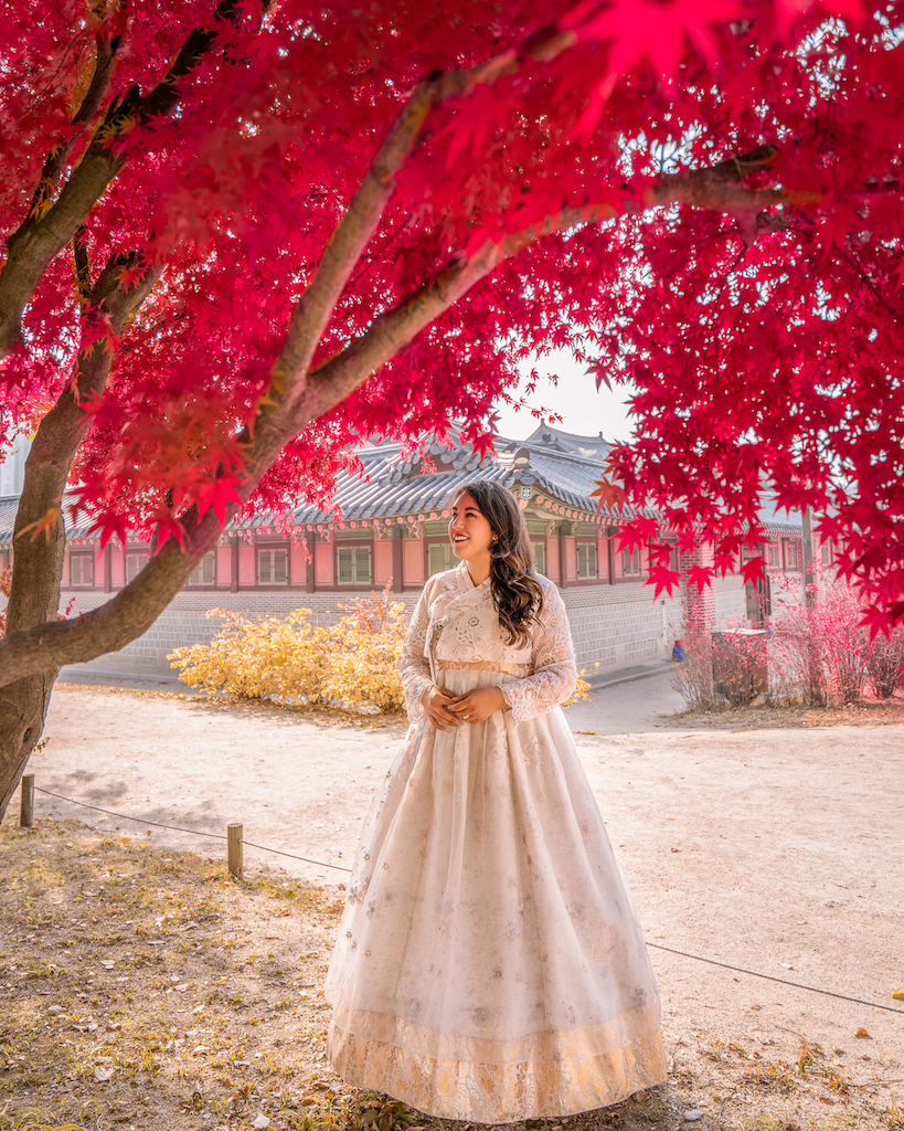 Red autumn maple leaves at Gyeongbokgung Palace in Seoul