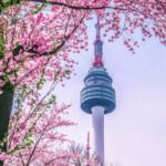 The Pros and Cons of Living in South Korea