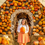 The Ultimate Guide To Halloween in Chicago 2024