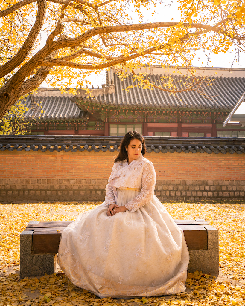 Woman wearing a white hanbok beneath golden autumn leaves at Gyeongbokgung Palace