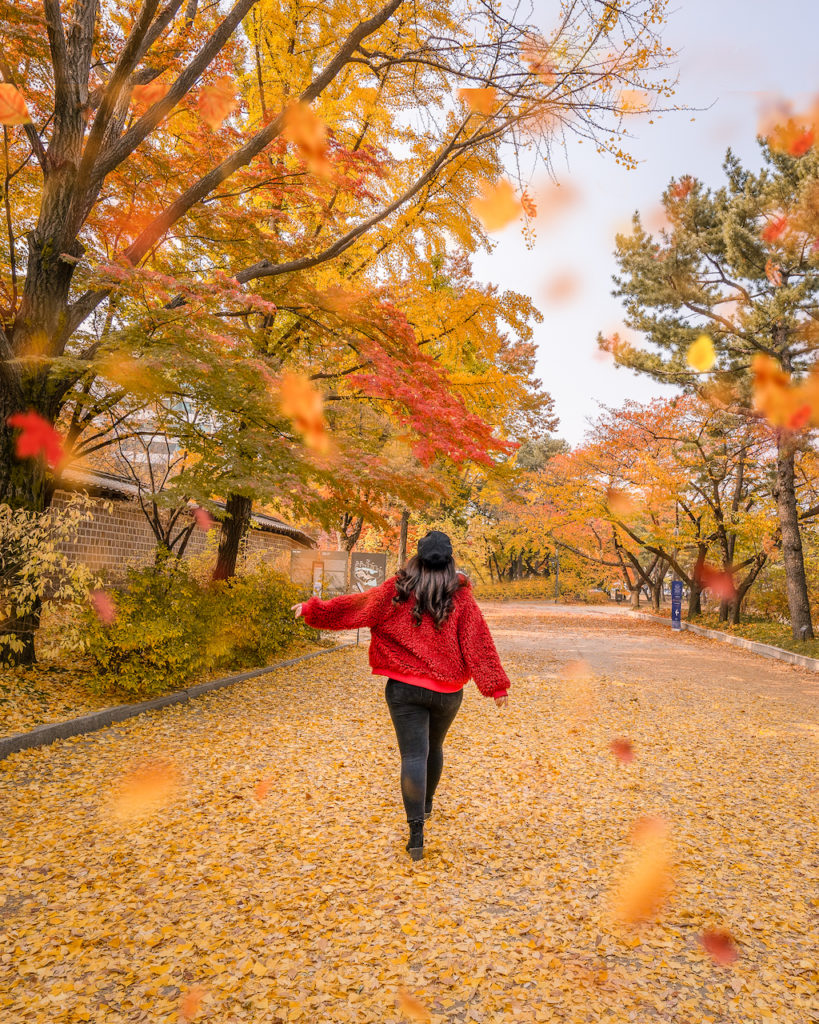 Woman in a red sweater walking along a leaf-covered path beneath colorful autumn trees at Deoksugung Palace