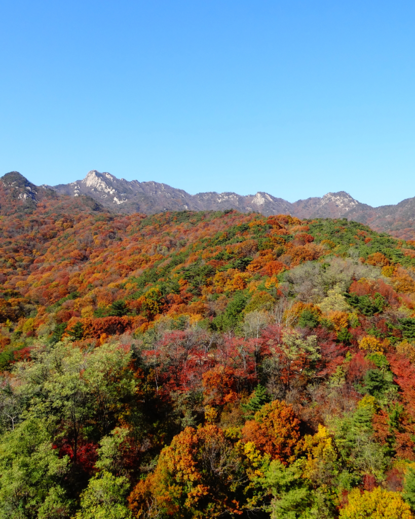 Autumn foliage at Bukhansan National Park in Seoul, South Korea