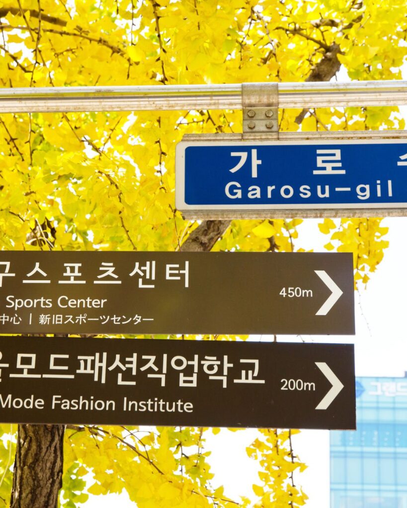 Yellow ginkgo trees along Garosugil shopping street in Sinsa, Seoul