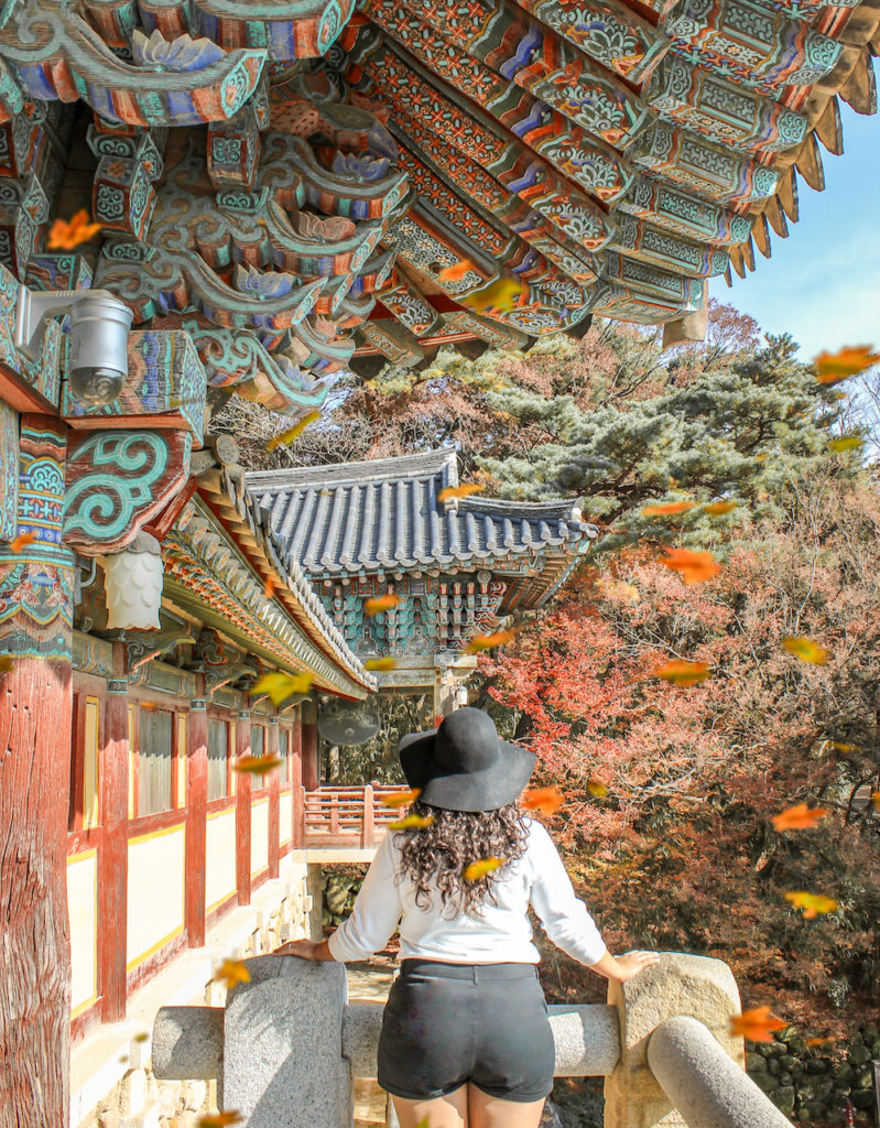 Bulguksa Temple surrounded by autumn foliage in Gyeongju, South Korea