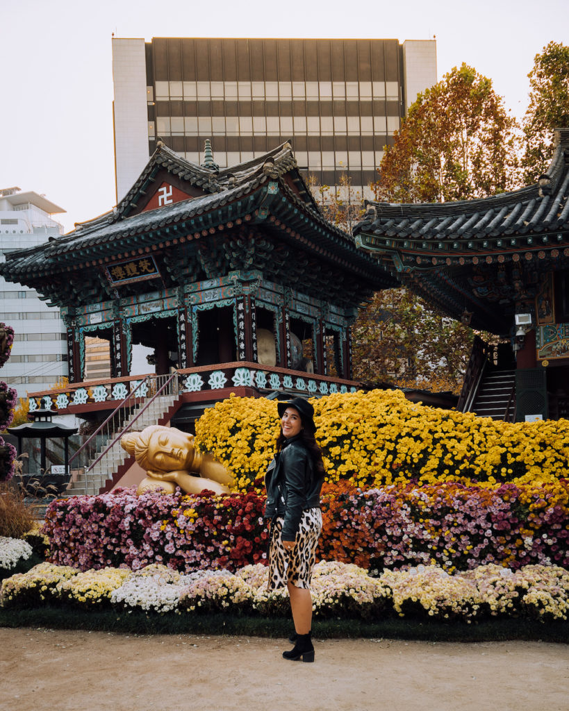 Woman in a black jacket standing beside colorful chrysanthemum displays and traditional Buddhist buildings at Jogyesa Temple