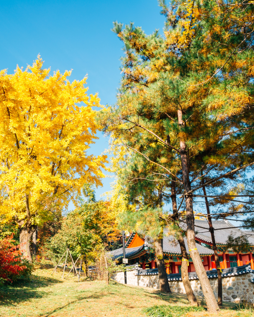 Historic Namhansanseong Fortress wall surrounded by colorful autumn foliage