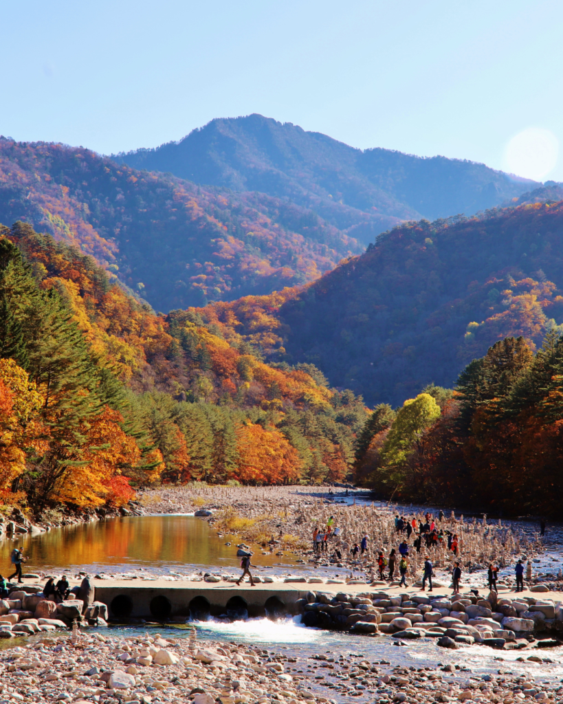 Autumn foliage at Seoraksan National Park in South Korea