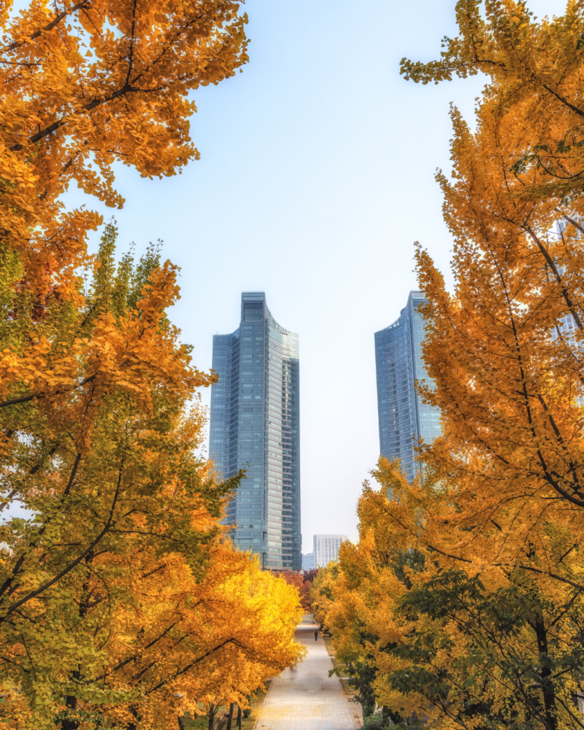 Autumn foliage at Seoul Forest in Seoul, South Korea