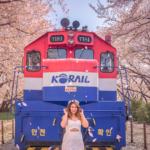 A Guide To The Jinhae Cherry Blossom Festival