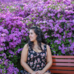 Gunpo Royal Azalea Festival