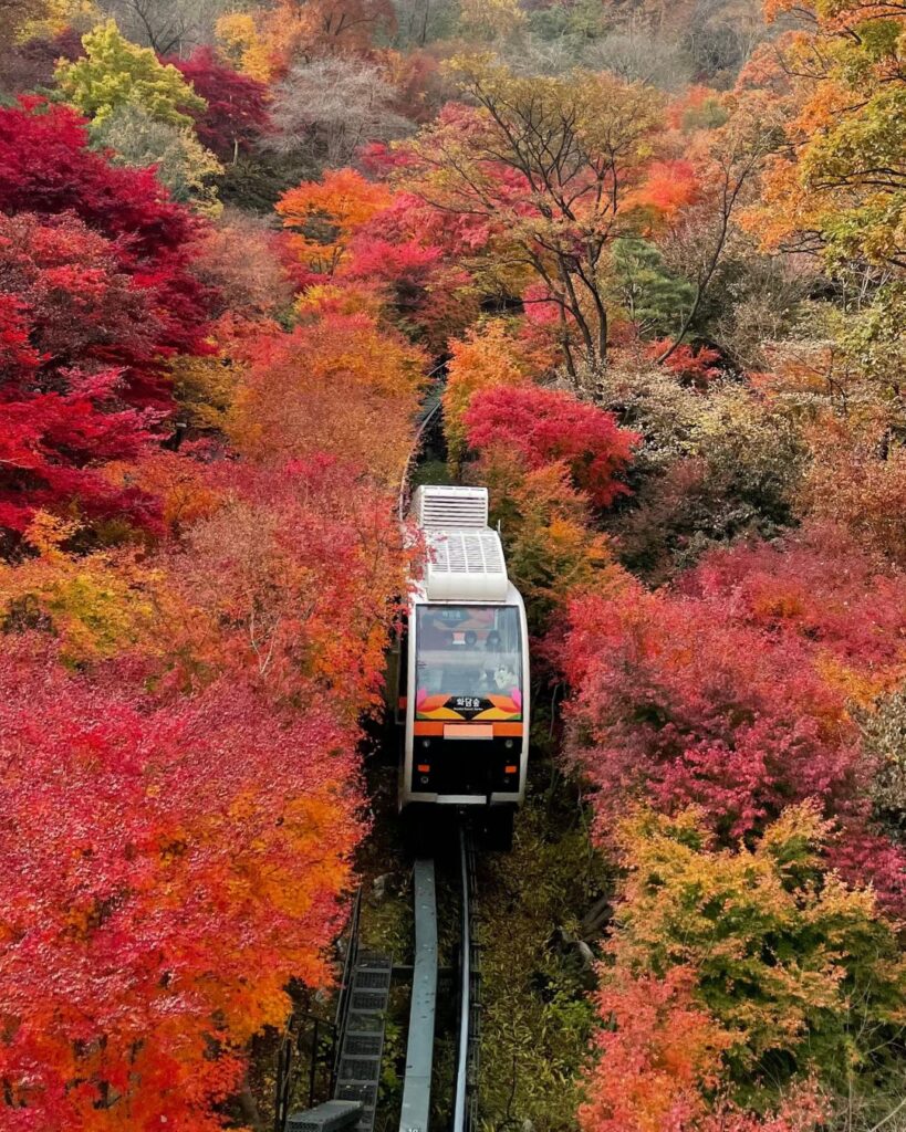 Hwadam Botanic Garden monorail surrounded by colorful autumn foliage